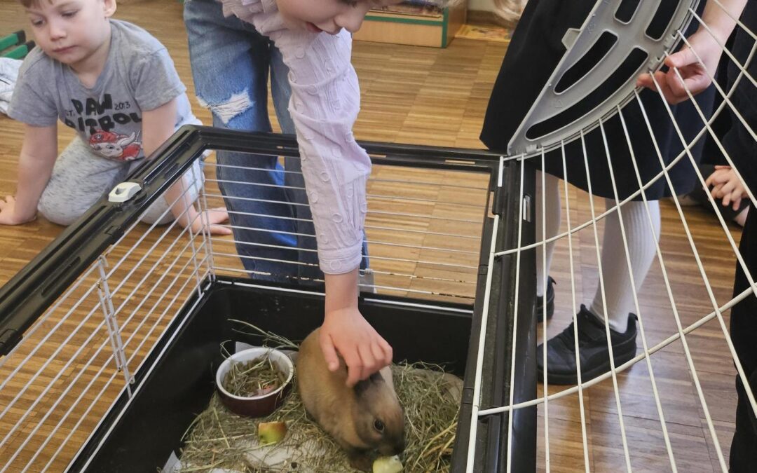 🐰🌼 Wielkanocne króliczki w naszym przedszkolu! 🌼🐰