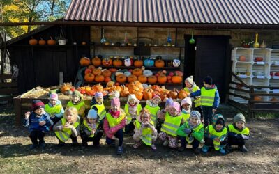 Argo City – Wykopki